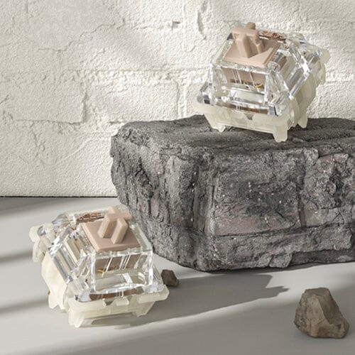 Gateron Releases All-New Baby Racoon Linear Mechanical Switches