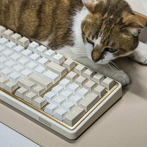 Varmilo Introduces Minilo98 Pro Three-Mode Gasket Mounted Keyboard