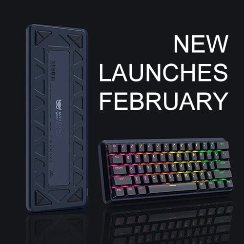 Weekly New Arrivals Brief : Fourth Week of February