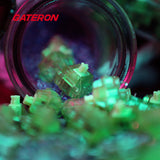 Gateron Luciola Fluorescence Switches