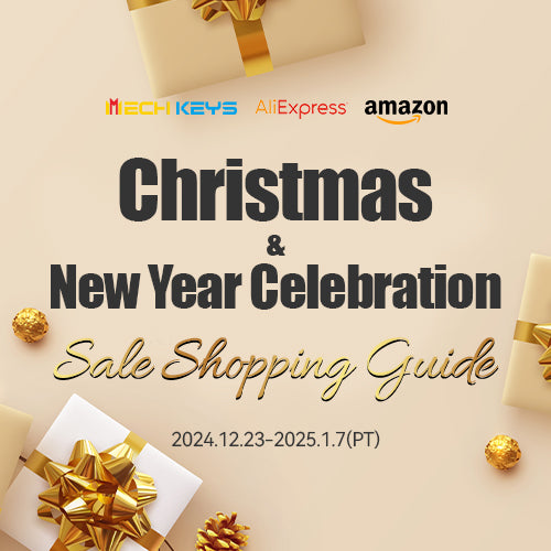 Christmas & New Year Sale Shopping Guide