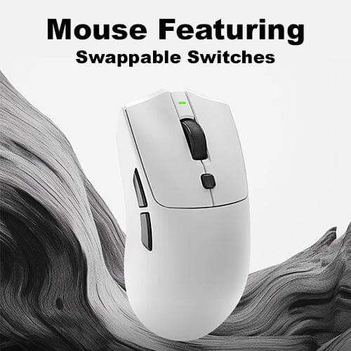 The Latest Trend in Gaming Mice: Swappable Micro Switches!!