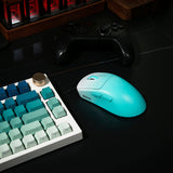 WAIZOWL OGM Pro V2 PAW3950 Gaming Mouse