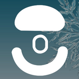 Ultraglide PTFE Skates Fit for Incott G23