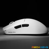 PHYLINA S480 PAW3950 Wireless 8KHz 36g Mouse