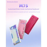 XINMENG M75/M75 Pro Tri-Mode Wireless Mechanical Keyboard