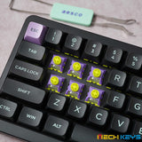 AESCO A67/A83 Electric Induction Wireless RT Hot-Swappable Mechanical Keyboard mechkeysshop 