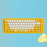 AJAZZ AC067 Cheese Gasket RGB Mechanical Keyboard mechkeysshop 