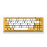 AJAZZ AC067 Cheese Theme Gasket RGB Mechanical Keyboard mechkeysshop 