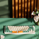 AJAZZ AKS068pro Ergonomic Gasket Mechanical Keyboard mechkeysshop 