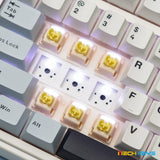 AULA F75 Gasket Three Mode Mechanical Keyboard mechkeysshop 