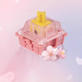 Cherry MX2A 35 Pieces Mechanical Switches