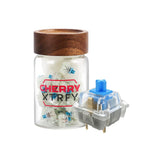 Cherry MX2A 35 Pieces Mechanical Switches mechkeysshop MX2A Blue RGB 