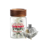 Cherry MX2A 35 Pieces Mechanical Switches mechkeysshop MX2A Speed Silver RGB 