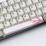 Cherry Profile PBT Dye-Sub Spacebar 6.25U Keycap mechkeysshop 