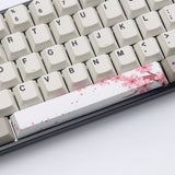 Cherry Profile PBT Dye-Sub Spacebar 6.25U Keycap mechkeysshop Kit 16 