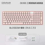 Coolkiller CK100 Low Profile Mechanical Keyboard Wireless mechkeysshop Blueberry Low-profile Switch‌ Pink-Electrophoresis Yes