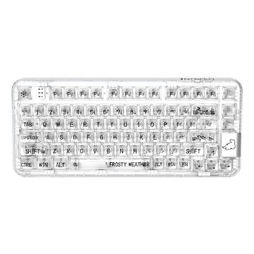Transparent Keycap Keyboards – mechkeysshop