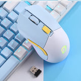 DAREU EM901 Dream Wired 2.4g Mouse mechkeysshop 