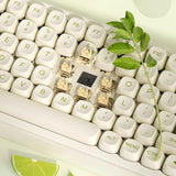 DAREU Z82Pro Sugar Cube Series Lime Three Mode Mechanical Keyboard mechkeysshop 