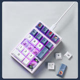 Darmoshark K3 QMK 21Keys RGB Numpad mechkeysshop 