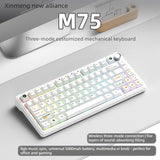 XINMENG M75/M75 Pro Tri-Mode Wireless Mechanical Keyboard