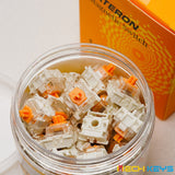 Gateron Dual-Rail KS-20U Magnetic Switches mechkeysshop 