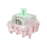 Gateron Dual-rail Magnetic Jade Mini E Switch mechkeysshop 