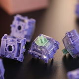 Gateron Magnetic Genty Silent Switch Set mechkeysshop 