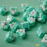 Gateron Magnetic Jade Switch Set mechkeysshop 