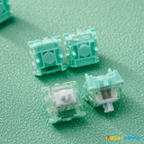 Gateron Magnetic Jade Switch Set mechkeysshop 