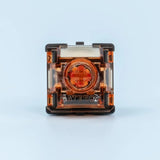 Gateron Magnetic Spark Rapid Trigger Switch mechkeysshop 