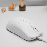 HP M23G2 Dual Mode Wireless Mouse mechkeysshop 