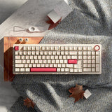 JAMESDONKEY RS2 Rosy RGB Mechanical Keyboard mechkeysshop 