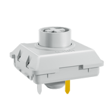 Kailh The Elements Series Full POM Low Profile Switches mechkeysshop Hide mountain 30 pcs 