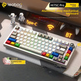 LEOBOG Hi75C/Hi75C Pro Tri-Mode Aluminum Keyboard mechkeysshop Rainbow Candy - [Tri-mode RGB] Strawberry Mint Switch Hi75C 