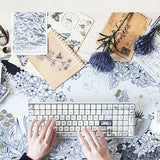 Lofree Land of Mystery Mechanical Keyboard Combo mechkeysshop 