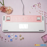 MCHOSE X75 Gasket Mechanical Keyboard mechkeysshop 