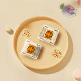 TTC Flaming Orange Mechanical Switch mechkeysshop 