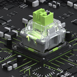 TTC X Darmoshark Customized Shark Switches mechkeysshop 