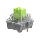 TTC X Darmoshark Customized Shark Switches mechkeysshop 