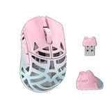 WLMOUSE Beast Miao Magnesium Gaming Mouse mechkeysshop Blue & Pink TTC Nihil Transparent Black Dot 