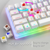 Womier K66 USB Hotswap RGB Mechanical Keyboard mechkeysshop 