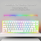 Womier K66 USB Hotswap RGB Mechanical Keyboard mechkeysshop 