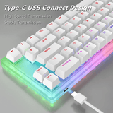 Womier K66 USB Hotswap RGB Mechanical Keyboard mechkeysshop 