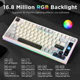 YUNZII RT80 Rapid Trigger 8K Magnetic Keyboard mechkeysshop 