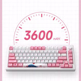 Akko MOD007B Gasket Mechanical Keyboard