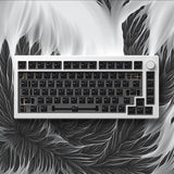 Akko MOD007 V3 Keyboard Kit