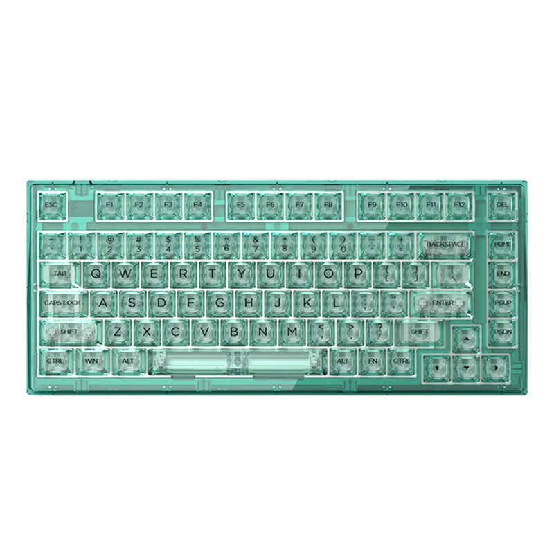 FL·ESPORTS Q75 Green/Blue Full Transparent Mechanical Keyboard - Green Full  Transparent / BOX clione limacina