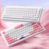 Akko MOD007B Gasket Mechanical Keyboard